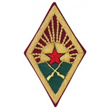 Нарукавный знак Пехоты Рабоче-Крестьянской Красной Армии, обр. 1920 г.